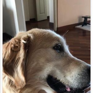 Meet your Posher, Alvaro